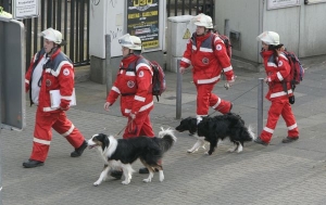 Záchranáři se psy míří na místo, kde stál bývalý archiv.